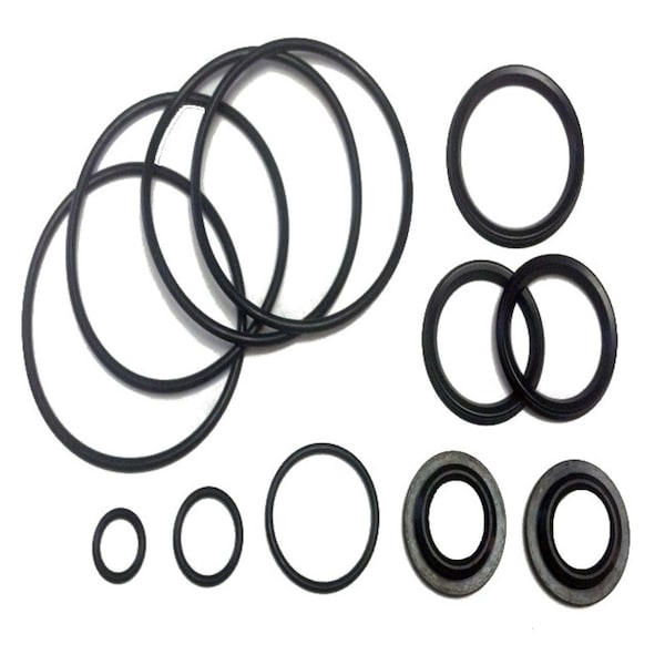 Valve Service Kit, NS/Buna-NE 65/80, 2.5/3 FKM, Replaces Tuchenhagen Part# 221-304.97